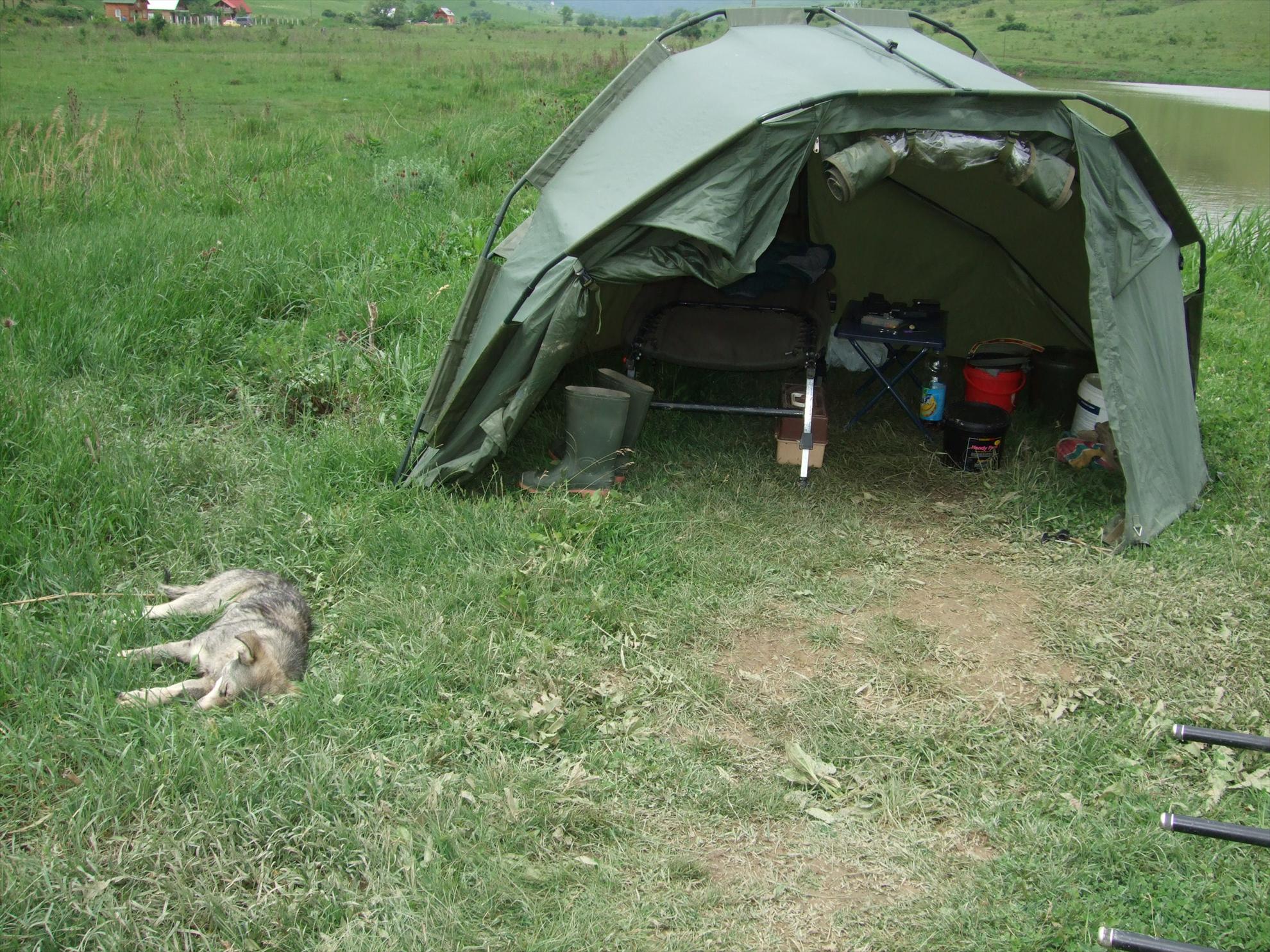 Diverse - picture-014.jpg